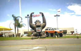 huge inflateable gorillas with advertising banners