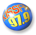 Advertising Balloons And Blimps - Click Here For Prices And More Information