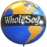 Large Globe Shape Advertising Balloon